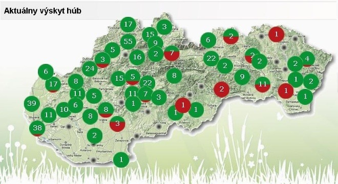 Zelená farba označuje miesta, kde podľa čitateľov rastú huby a červená farba znamená, že v danej oblasti huby nie sú. Čísla znamenajú počet príspevkov od čitateľov v danej oblasti. (Foto: Nahuby.sk)