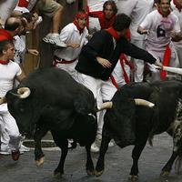 V Katalánsku bude platiť zákaz býčích zápasov