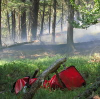 Oheň podľa najnovšieho odhadu zachvátil tri a pol hektára lesa.