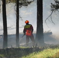 Príčinou lesného požiaru v Slovenskom raji v lokalite Koč bol s najväčšou pravdepodobnosťou úder blesku do stromu.