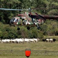 Požiar v Slovenskom raji sa snažia uhasiť pomocou vrtuľníkov s bambi vakom. Aj ich použitie ale komplikuje silný vietor.