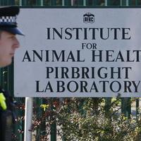 Policajt stráži pred vstupom do Inštitútu pre zdravie zvierat v Pirbrighte