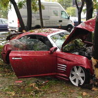 Drahý Chrysler skončil na strome.