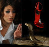 Trojmiliónovú topánku s diamantovou sponou stráži kobra.