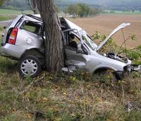 Opel vyletel z cesty a vpálil rovno do stromu.