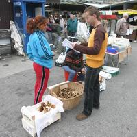 Správca trhoviska Alexander Kelecsényi pri kontrole osvedčení o predaji húb.
