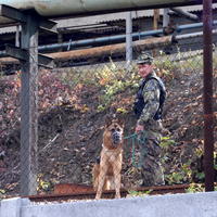 Strážnik Kovohút so psom potvrdil, že tlupy drancujú všetko neprivarené a nezabetónované.