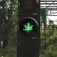 Marihuanový semafor