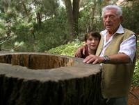 Jakob Silberstein (83) unikol nacistom vďaka tejto bútľavej breze.
