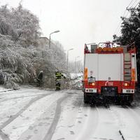 Hasiči v Bratislave v nedeľu odstraňovali z cesty aj strom, ktorý spadol pod ťarchou snehu.