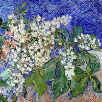 Jeden z kradnutých obrazov - Kvitnúca vetva gaštana od Van Gogha.
