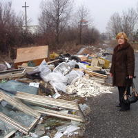 „Odpad v Mierovej kolónii je niekoľkoročný problém. Jeho odstránenie v roku 2006 stálo pol milióna korún,“ povedala Emília Prerovská.