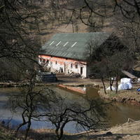 Ovce nakazené nebezpečnou klusavkou zatvorili v ovčiarni.