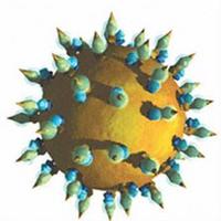 Hepatitída typu A - Ilustračné foto