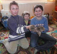 Chlapci (zľava) Janík (9), Julko (2,5) a Timo (9) s poľnými zajačikmi.