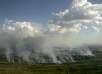 Požiare podľa vlády spôsobili farmári, ktorí vypaľujú burinu na poliach a pastvinách.