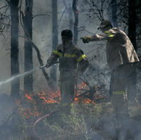Lesné požiare v Grécku.