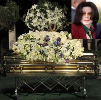 Michael Jackson nemá pokoj ani po smrti