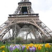 Eiffelova veža v Paríži.