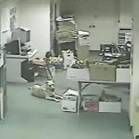 Pes, ktorý vycítil zemetrasenie