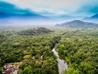 Bombastický objav v amazonskej džungli: Laser odhalil to, o čom vedci netušili ani v tom najdivokejšom sne