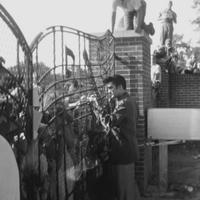 Elvis Presley zdraví fanúšikov pri bráne. Takto vyzerá jedna z troch fotografií zo série.