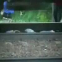 Dievča leží pod prechádzajúcim vlakom