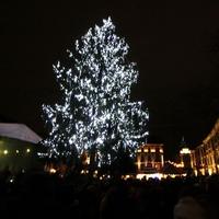 Vianočný stromček na Hlavnom námestí