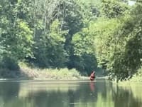 VIDEO Mladík sa plavil na kajaku: Až ho striaslo, keď zbadal, čo sa brodí riekou