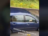 VIDEO Vodič neveril vlastným očiam, keď zbadal okoloidúce auto: Tú šialenosť musíte vidieť!