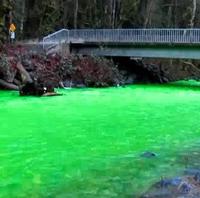 Zelená rieka vystrašila aj ochranárov