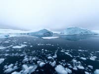 Vedci pri Antarktíde objavili to, po čom pátrali už dlhé roky: Unikátne VIDEO
