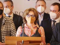 Smer chce odvolávať Mikulca: Podľa šéfky klubu SaS Anny Zemanovej má minister stále jej dôveru