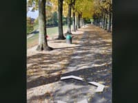 Mladík náhodou narazil na znepokojivý objav na Google Maps: Hrozivé FOTO z parku!