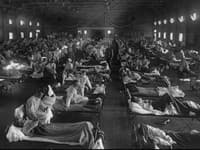 Prekvapujúce odhalenie: Pandémia smrteľnej chrípky je zrejme pôvodcom ochorenia, ktorým trpela väčšina Slovákov