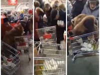 V Rusku zavládla panika: VIDEO Ľudia sa v obchodoch bijú o cukor, kradnú si ho z košíkov! Chýba múka aj toaletný papier
