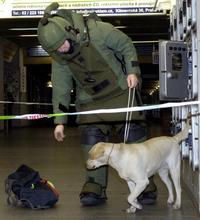 Ilustračný obrázok