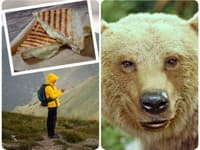 NEUVERITEĽNÁ „zábavka“ turistov v Tatrách: Fotky a videá s medveďom! Dokonca ich prikrmujú, ochranári zúria
