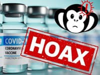 Dezinfoscéna nezaháľa: Šimpanzí adenovírus vo vakcíne proti COVIDU... náhoda? Nie, HOAX, varujú odborníci