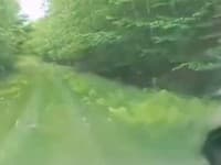 VIDEO Dvaja muži netušili, čo zažijú počas jazdy v lese: Pozreli vľavo a tam... preboha!