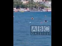 Ďalší žralok medzi dovolenkármi: Tentokrát sa objavil v Turecku! Turisti ho ubili mopom