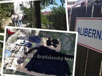 Detaily brutálnej vraždy v Bratislave! Len pre silné žalúdky: Ženu zastrelil, rozštvrtil a chcel spáliť, POLÍCIA ukázala FOTO
