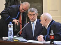 Začal sa súd v kauze Čapí hnízdo: Babiš aj Nagyová pred súdom popreli vinu