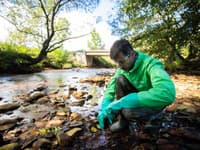 Nové zistenia o rieke Slaná: Kritické hodnoty arzénu vo vodnom toku! Aktivisti bijú na poplach