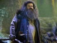 Smrť Hagrida (†72) z Harryho Pottera: Trápili ho vážne zdravotné problémy... Mal obrovské bolesti!
