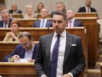 Poslanec Gyimesi Mikulcovi dôveruje, podľa Krúpu prespal pri migrácii ďalšiu krízu