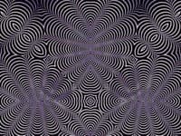 Zákerná optická ilúzia privádza ľudí do zúfalstva: Vidíte tam to, čo máte? Ani jedno z toho!