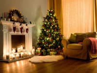 Vo vianočnom stromčeku rodiny sa ukryl votrelec: Ako by ste sa zachovali, keby z neho vybehla...?