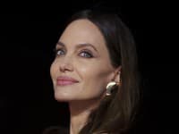 Nový muž po boku Angeliny Jolie (47)? Aha, načapali ju so zajačikom (26)!