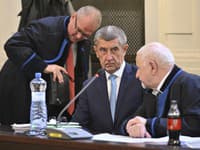 Súd v Prahe začne prerokovanie kauzy Čapí hnízdo: Nie je vylúčené, že v týždni rozhodne
